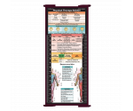 WhiteCoat Clipboard® Trifold - Wine Physical Therapy Edition